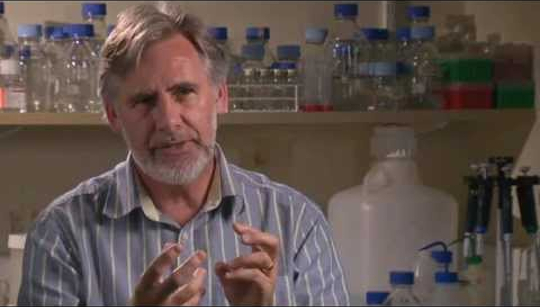 The Science of Mindfulness: Transforming the Brain and Reducing Depression mindfulness training 6 15